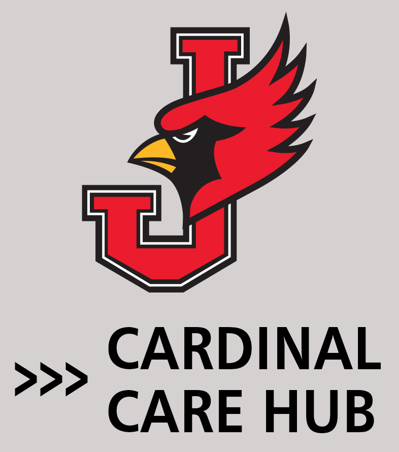 box with words Cardinal Care Hub